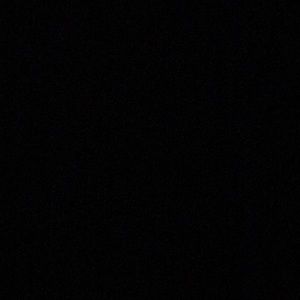 Meet your Posher, Ricky